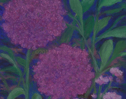 Peggy's garden: Allium and Geranium