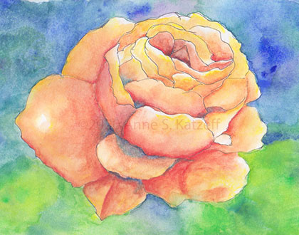this rose was a stunner!